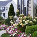 HousewithDogandFlowers