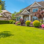 Curb Appeal